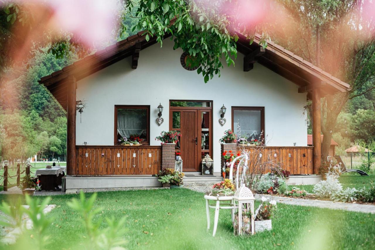 Ven Diofa Bed and Breakfast Sub Cetate Buitenkant foto